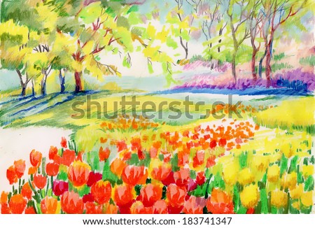 Hand drawn of beautiful tulips in the park