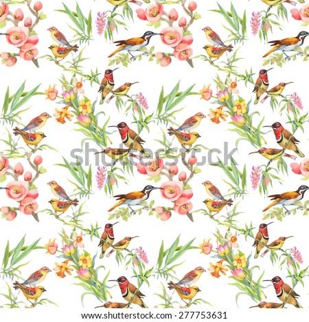 Watercolor Wild exotic birds on flowers seamless pattern on white background vector illustration