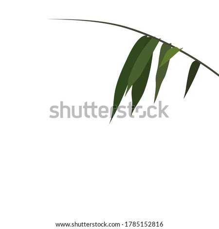 Chinese brush painting style vector illustration Minimalist style of bamboo leaves on top right corner of picture in green isolated on white background with copy space for text for haiku poem or note 