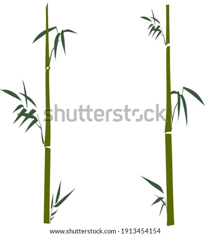 Vector illustration Minimalist style of bamboo leaves and shoots on both side of image in green isolated on white background with space for runaround or wraparound text in middle