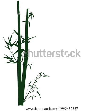 Vector illustration of of bamboo shoots and leaves Chinese brush painting style on left side of image isolated on white background with blank space on right side can be used as background or wallpaper