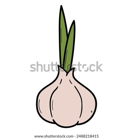 Hand drawn cartoon garlic isolated on white background. Vector illustration.