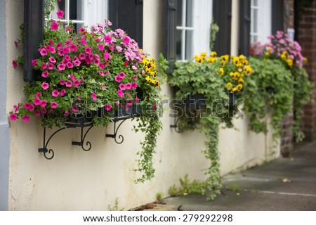 Flower boxes overflow with spring flowers on a historic home in Charleston, SC