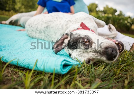 Similar – Image, Stock Photo Anonymous couple cuddling in apartment