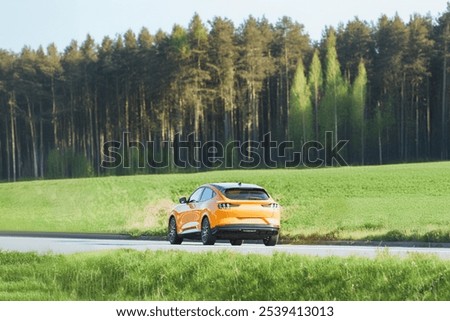 Similar – Image, Stock Photo Road near forest in afternoon