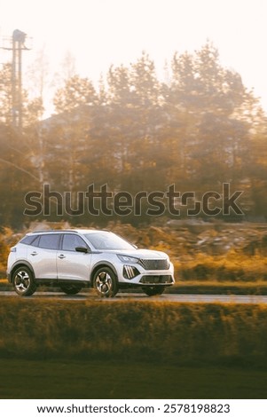 Similar – Image, Stock Photo Road near forest in afternoon