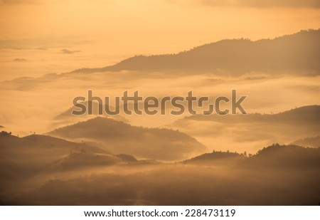 The mountain covered by the mist in the morning, Chaingrai, Thailand