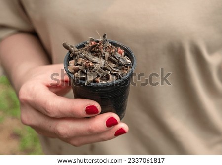 Similar – Image, Stock Photo Succulent leaf with roots and shoots.