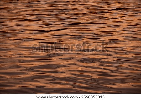 Image, Stock Photo Last lights after a long celebration