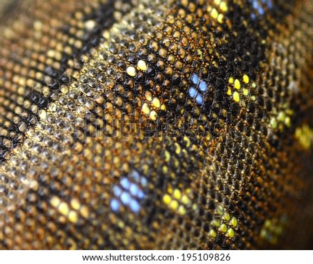 lizard skin textura