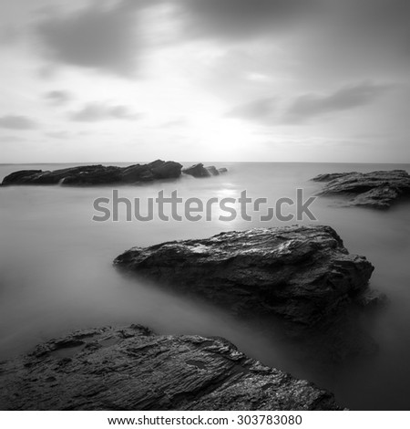 Black & White rocky seascape scene with seagull on stone, Crimea, Ukraine