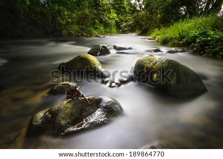 Janda Baik river with a cool water nice for Vacation and camping.