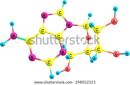 Adenosine is a purine nucleoside composed of a molecule of adenine attached to a ribose sugar molecule moiety
