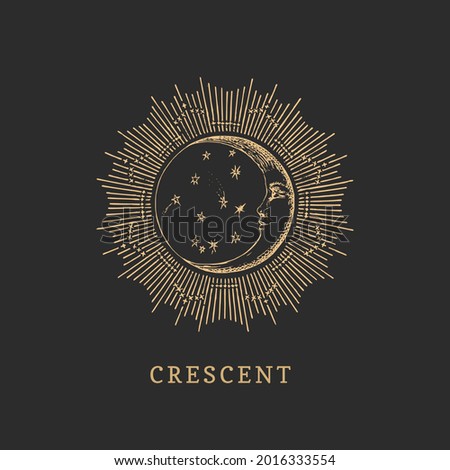 Crescent moon in halo, hand drawn in engraving style. Vector graphic retro illustration. Vintage pastiche of esoteric and occult sign.