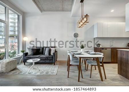 Canadian style luxury furnished staged brand new apartment in the apartment building with the exterior views
