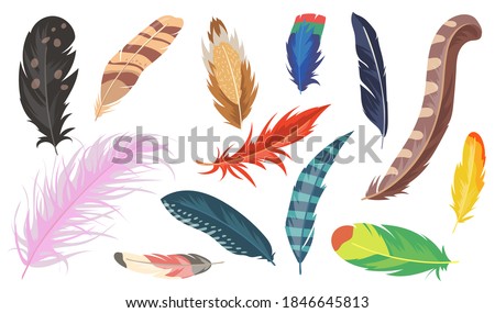 Variety of colorful feathers flat item set. Cartoon shiny ostrich, pheasant and parrot isolated vector illustration collection. Bird feather and decoration concept