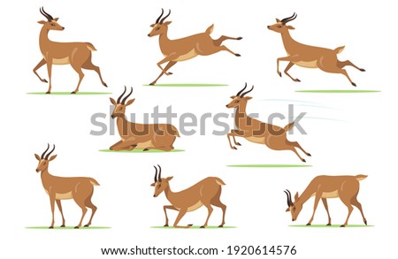 Cartoon gazelle set. African antelope walking, eating, running, jumping, resting on lawn in different poses isolated on white. Vector illustration for horny animal, wildlife, fauna concept