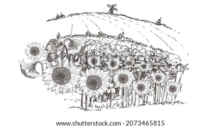 A field with sunflowers. Landscape with a mill. Vector hand drawn illustration.