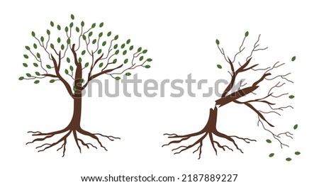 Similar – Image, Stock Photo Broken tree Tree