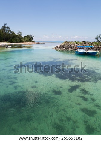 La Digue - November 9, 2014: A large school of fish in the clear water of clean sea near the port of the island of La Digue, and a small boat and shore away November 9, 2014, La Digue, Seychelles