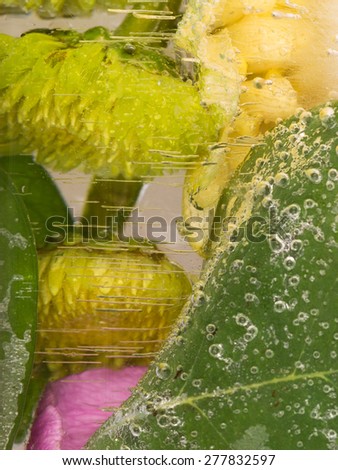 bright beautiful fragrant organic abstraction of yellow chrysanthemums, frozen water, and a lot of air bubbles