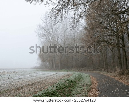 Similar – Foto Bild Feldweg im Dezember, rechts abgestorbene Nadelbäume und ein Hochsitz, rechts Wiesen hinter einem Weidezaun