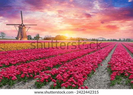 Similar – Image, Stock Photo City view with windmill