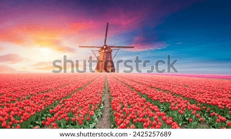 Similar – Image, Stock Photo City view with windmill