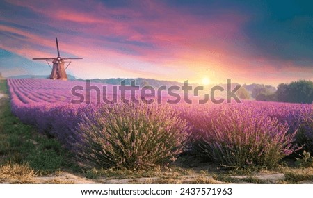 Similar – Image, Stock Photo Valensole: fields of lavender