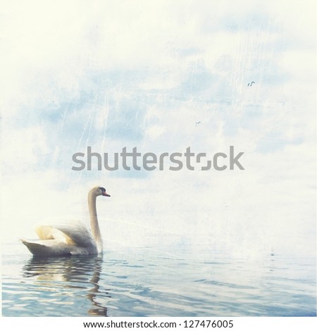 swimming swan in haze on worn vintage paper