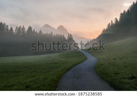 Early morning haze in the Alps. There is a narrow road leading to high mountains through a meadow. The high Alpine peaks are shrouded with light fog. The sky is turning pink. Daybreak. Calmness Photo stock © 