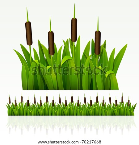 Raster version of vector grass green border from reed (can be repeated and scaled in any size)
