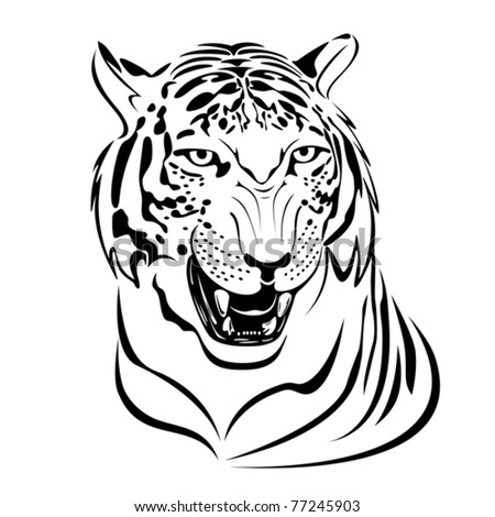 Snarling Tiger'S Head Illustration In Black Lines - 77245903 : Shutterstock