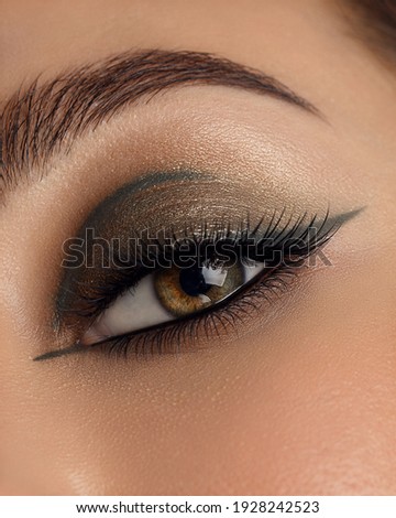 Beautiful macro shot of female eye make-up in smoky eyes style and arrow. Green eye. Creative make-up. Perfect shape make-up and long lashes. Cosmetics. Beautiful eyes make-up. Close-up