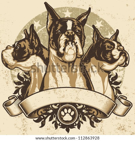 Boxer Crest Design. Vector illustration of three purebred boxer dogs (front view, profile view and 3/4 view) sitting proudly over a grunge banner and floral design elements.