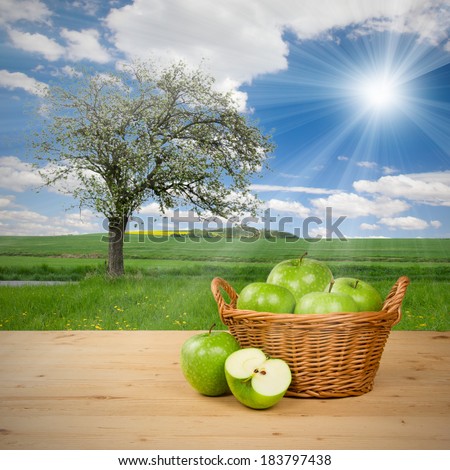 Photo of green apples in basket with apple tree on a field