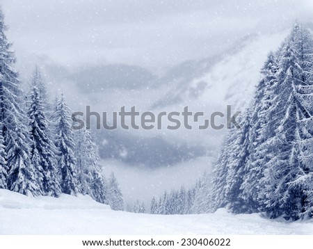 Photo of winter landscape with trees and mountains covered by snow