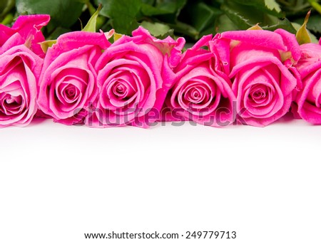 Abstract background made of rose blooms with white space for text