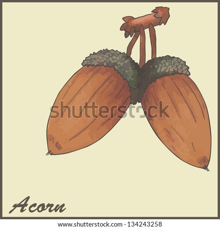 autumn vintage card with acorns