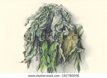 Wreath of leaves /Hand painted/  Watercolor illustration of green leaves braided in a wreath, against off-white background.
