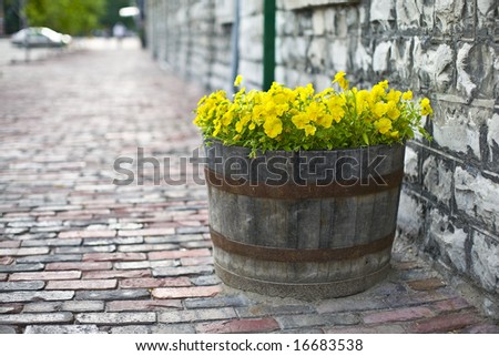 Summer flowers in a wooden barrel. Selective focus, shallow DoF
