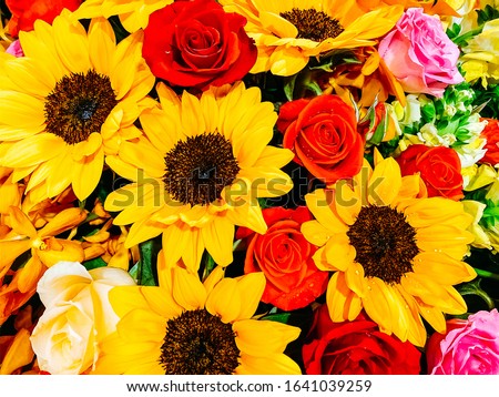 Similar – Image, Stock Photo Bouquet: gerbera and roses in yellow and pink in light blue watering can stands on stone floor