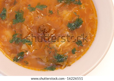Cabbage soup with a meat in pink plate