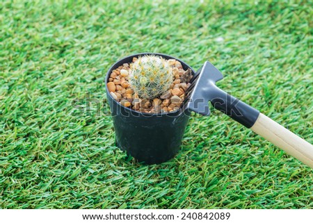 Cactus and rake Hand Gardening Tools