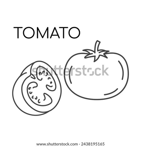 Tomato vegetable line icons illustration