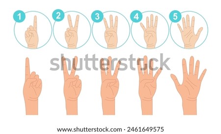  Human Hands Expressing Numbers 1, 2, 3, 4, and 5. Fingers Expressing Count from One to Five. Counting Hand: One, two, three, four, five. Set of Counting Hand Gestures. Vector.