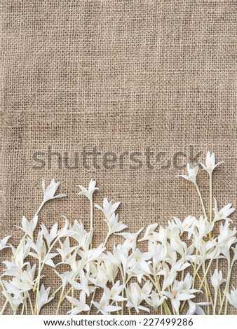 Flower frame design with copy space natural concept.White flowers on sack cloth background.