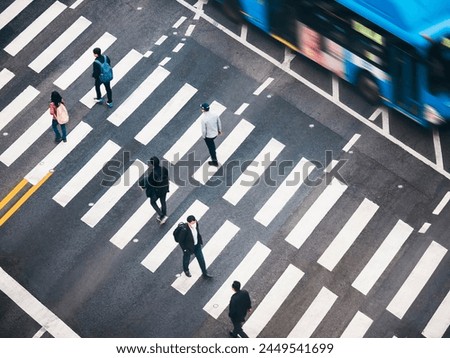 Similar – Image, Stock Photo crosswalk on the road on the street in Bilbao city spain