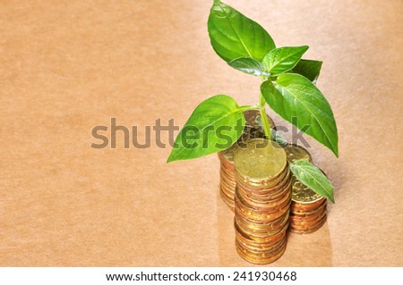 Stacks Of Golden Coins And A Small Plant Sprouting From The Coins with copy space area  - Profitable Saving Concept