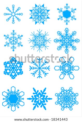 Collection of 12 different snowflakes vector